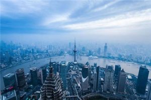 花开不并百花丛，独立疏离趣未穷：揭秘未知动物之旅